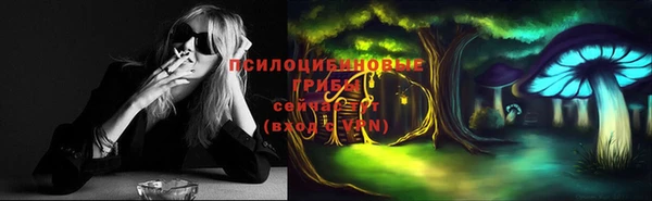 хмурый Балабаново