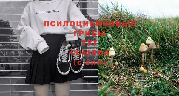 дурь Саяногорск