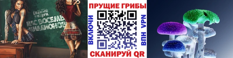 Псилоцибиновые грибы Psilocybine cubensis  hydra как войти  Кемь  цены  