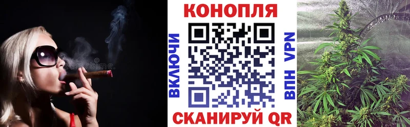 мега   Кемь  Бошки марихуана MAZAR 